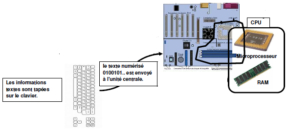 entrée des informations